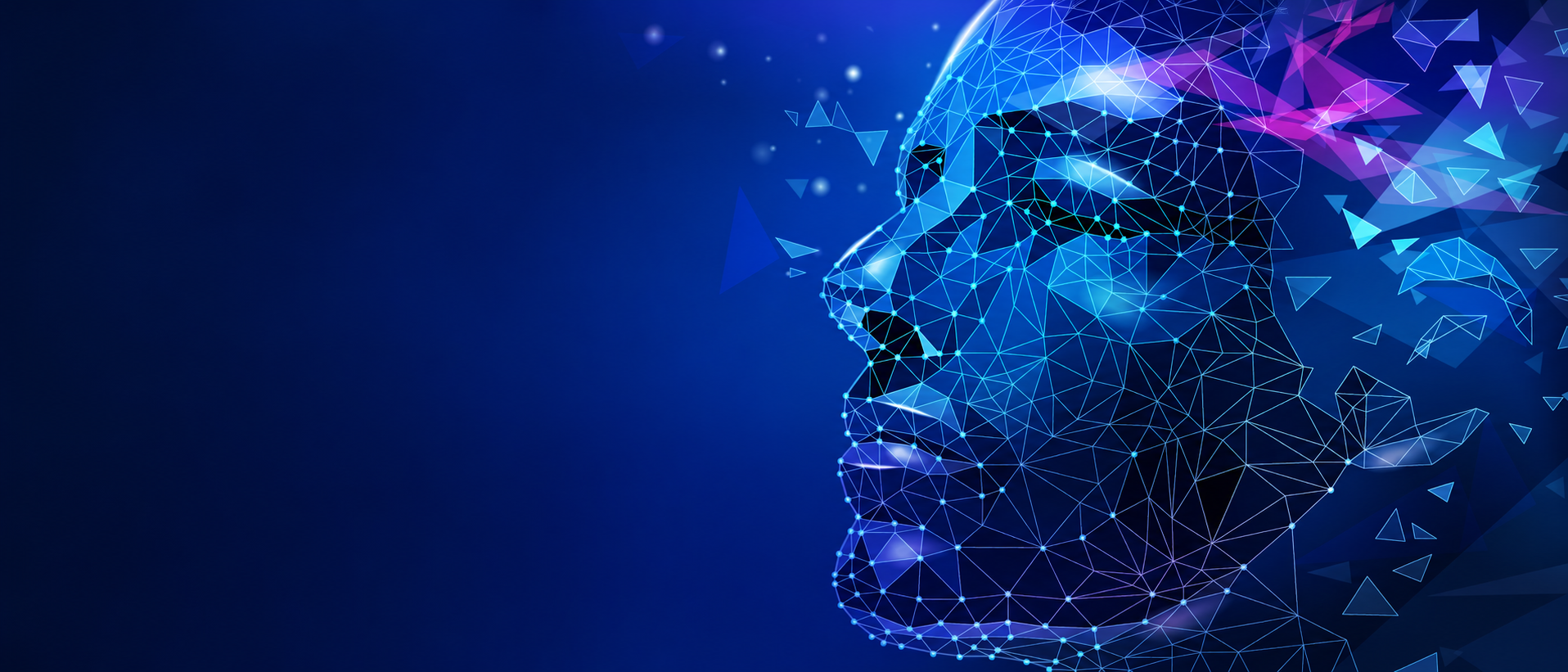 Abstract wireframe profile with geometric fragments